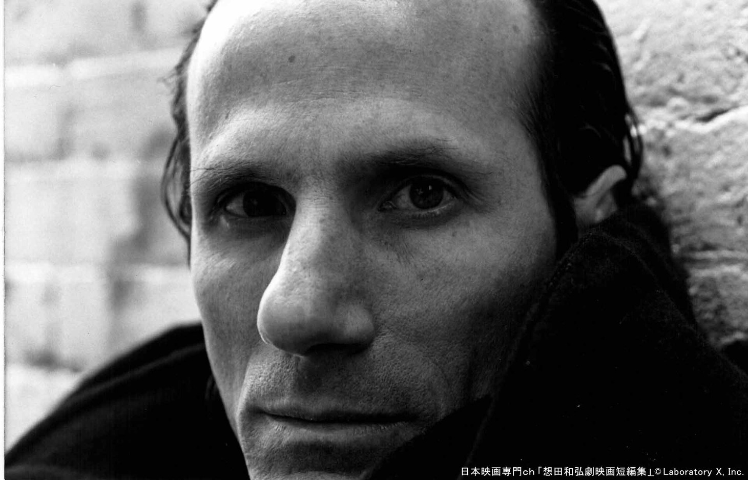 「ザ・フリッカー」