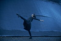 「うつくしいひと サバ？」