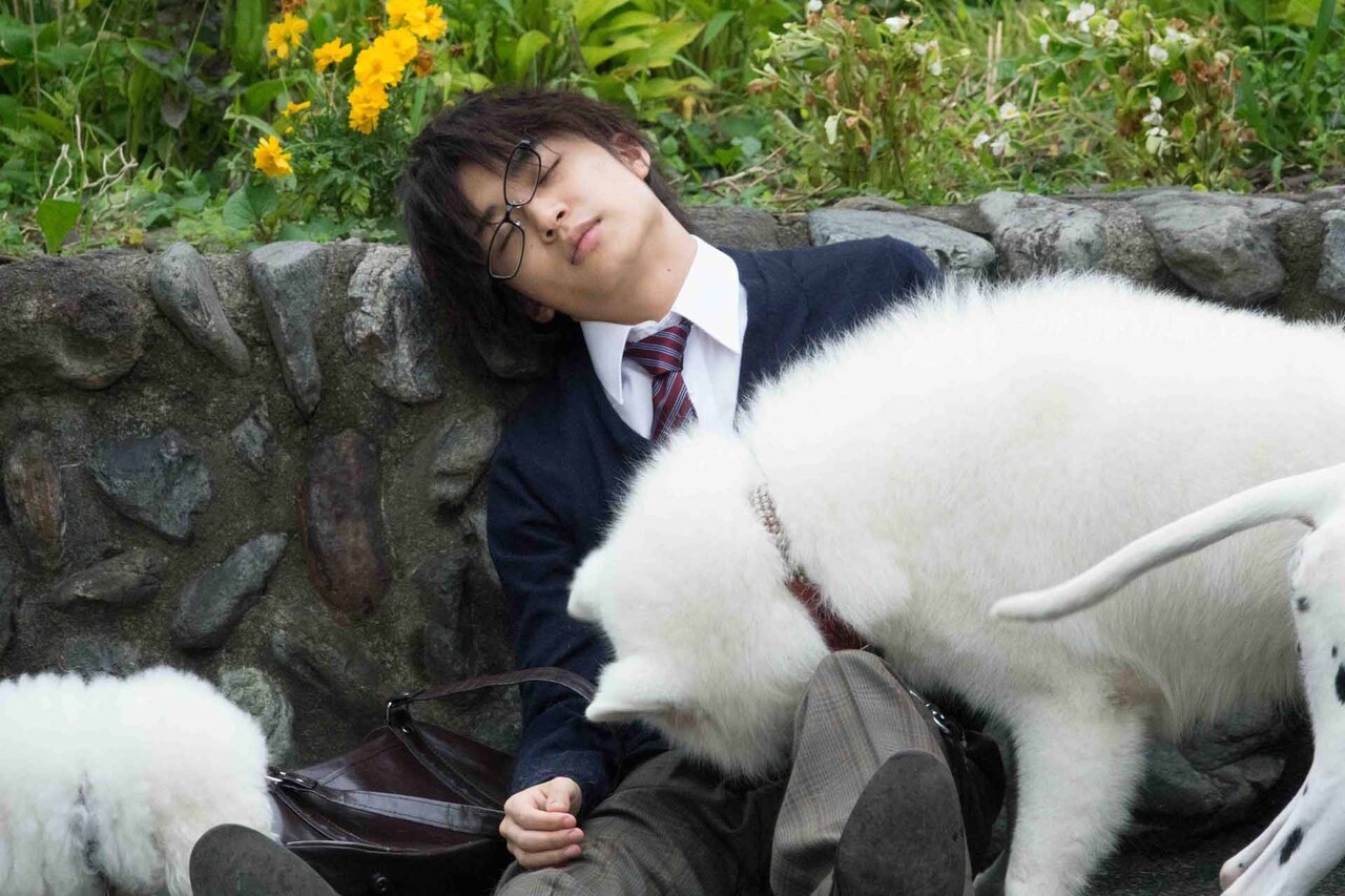 「兄友」松岡広大が白い犬と戯れるメイキング映像到着