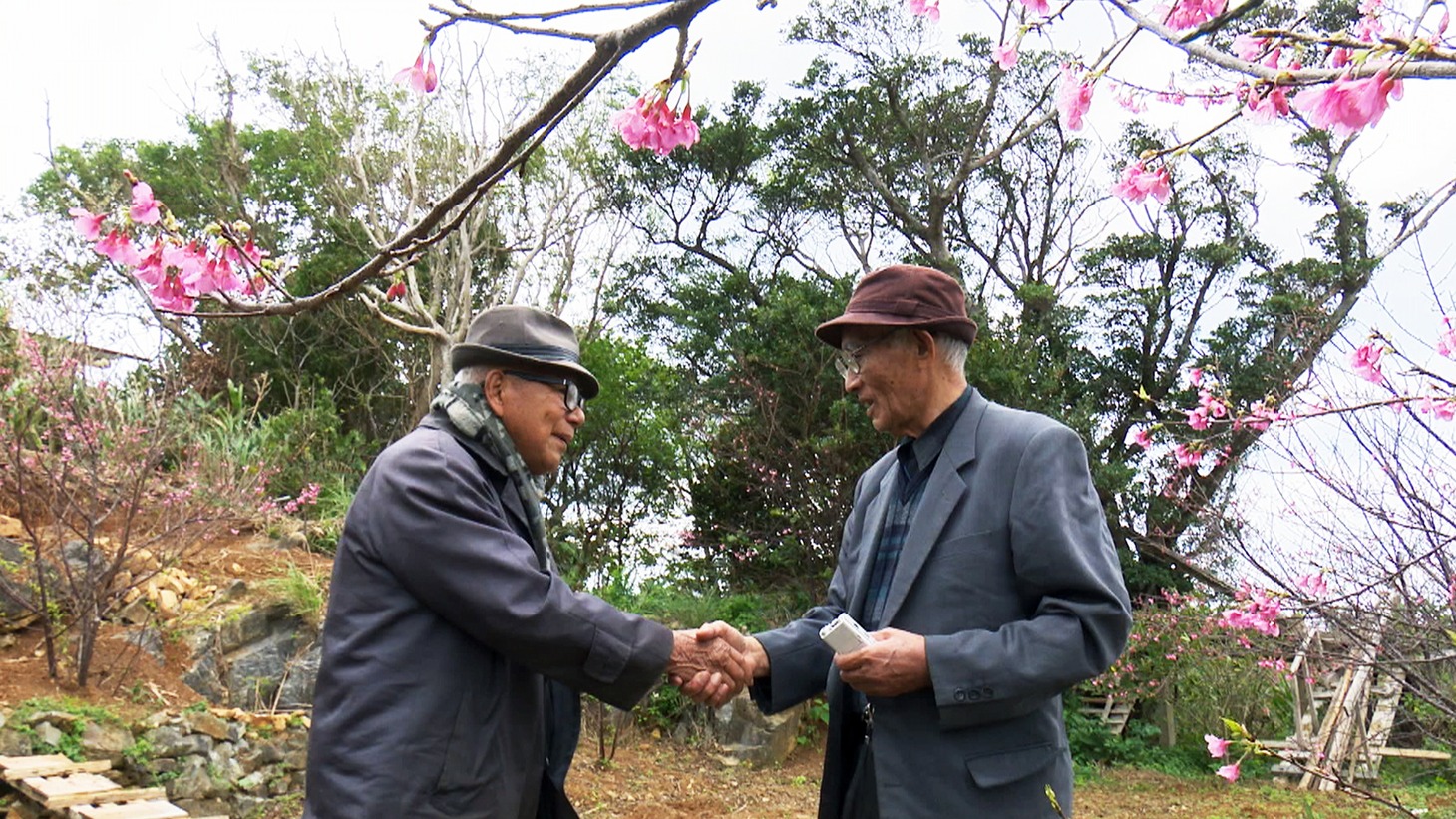 「沖縄スパイ戦史」