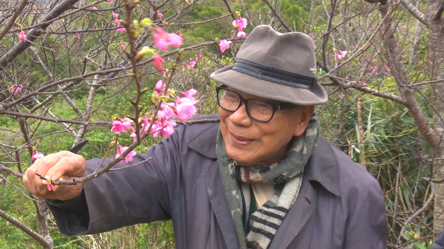 「沖縄スパイ戦史」