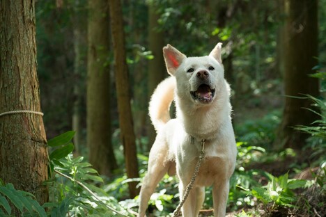 「Vision」新場面写真