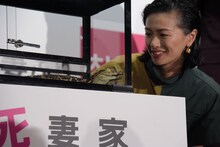 ワニにツマフリと命名した榮倉奈々。