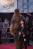 レッドカーペットを歩くチューバッカ。