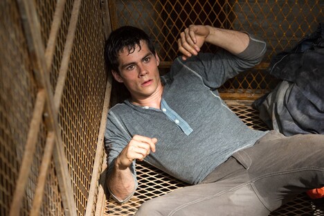 「メイズ・ランナー」