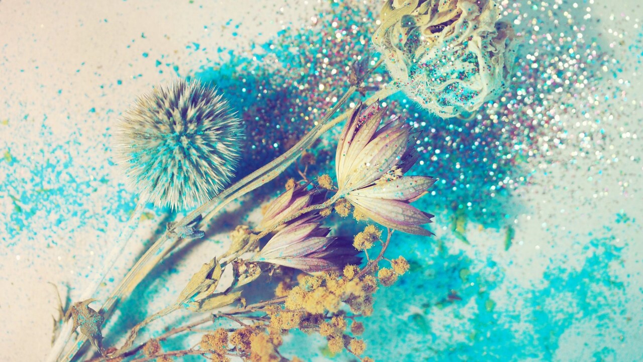 フェミニズムをテーマにした西原孝至の新作「シスターフッド」支援者募集