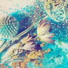 フェミニズムをテーマにした西原孝至の新作「シスターフッド」支援者募集