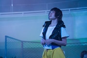 「猫は抱くもの」新場面写真