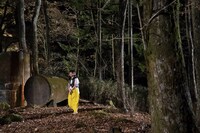 「猫は抱くもの」