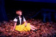 「猫は抱くもの」新場面写真