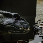 「ジュラシック・ワールド」新作に歴代最多の恐竜が登場、メイキング映像公開