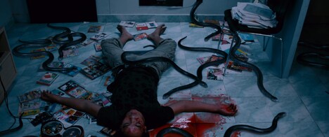 「蛇マンション」