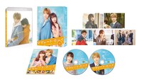 「ママレード・ボーイ」初回仕様のBlu-rayプレミアムエディション展開図。