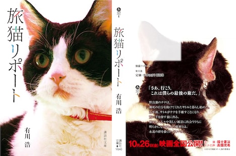 「旅猫リポート」スペシャル猫帯付き書影