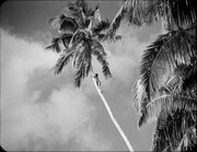 「モアナ～南海の歓喜～」