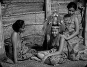 「モアナ～南海の歓喜～」