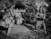 「モアナ～南海の歓喜～」