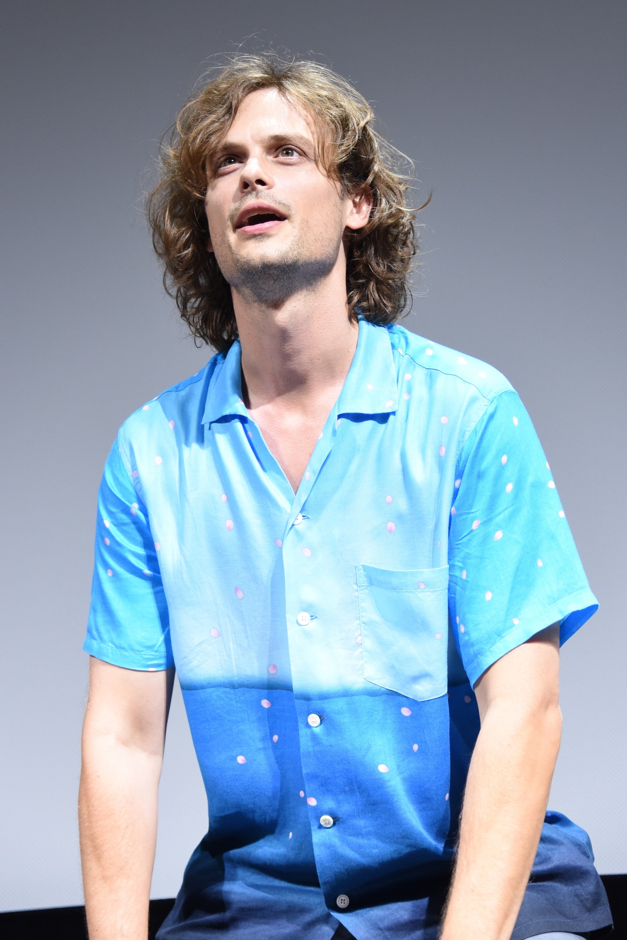 マシュー・グレイ・ギュブラー