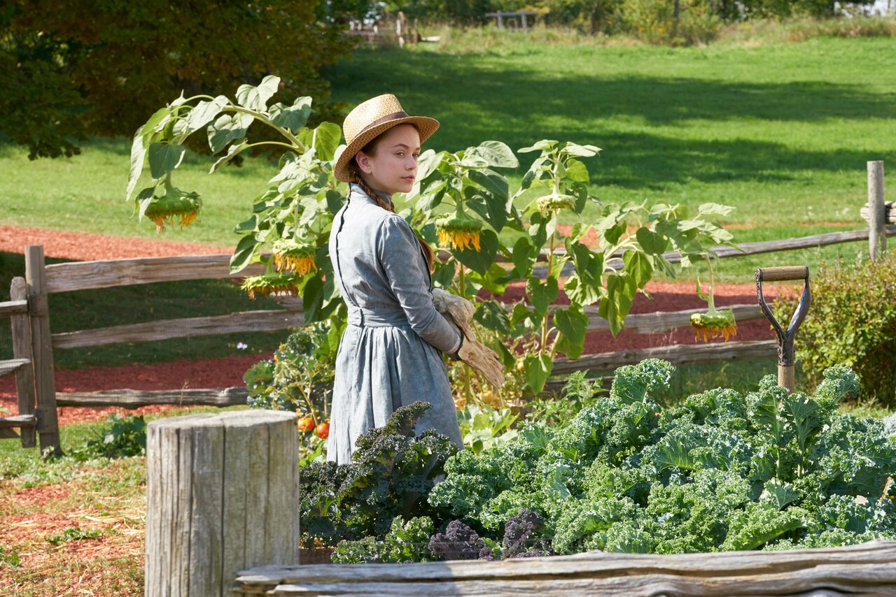 「赤毛のアン 初恋」