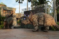 草食恐竜たち。