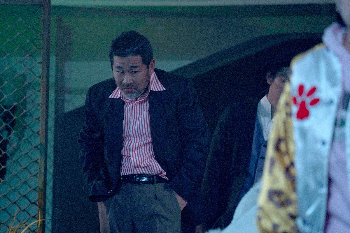 「猫は抱くもの」