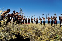 「あまねき旋律（しらべ）」