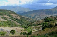 「あまねき旋律（しらべ）」