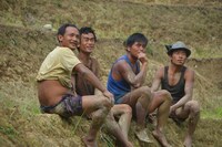 「あまねき旋律（しらべ）」