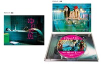 「ゆれる人魚」DVD展開図