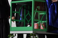 箱の中に入ったペンギンのぬいぐるみ。