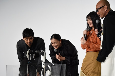 ペンギンに興味津々のキャストたち。