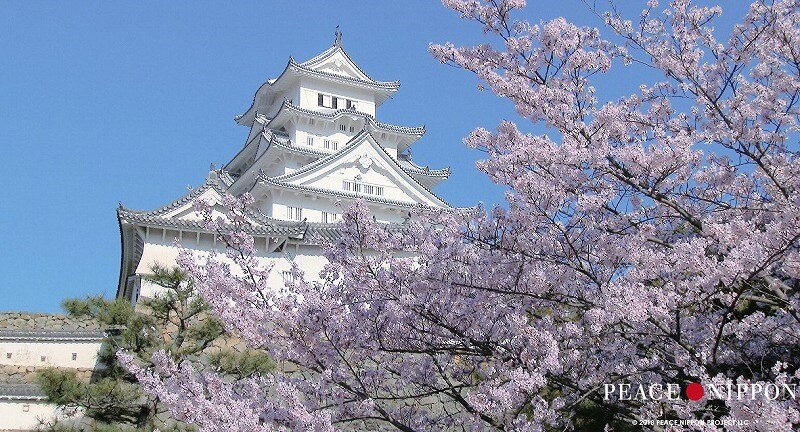 「ピース・ニッポン」城を捉えた場面写真9枚到着