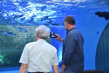 上田一生（左）と、ペンギンを撮影するリュック・ジャケ（右）。