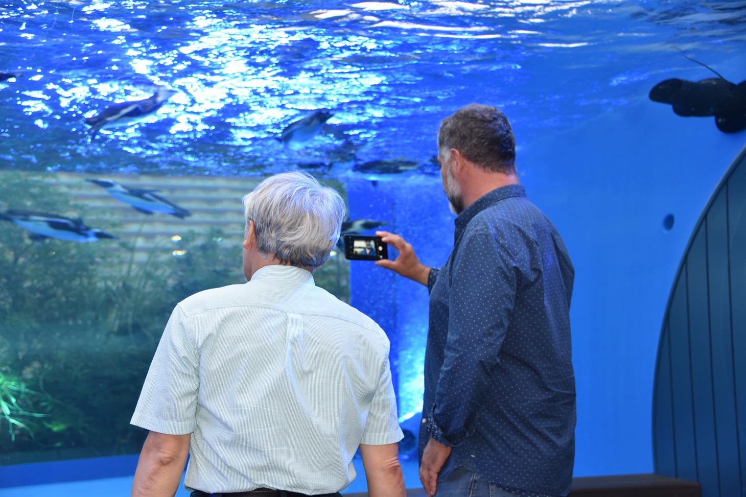上田一生（左）と、ペンギンを撮影するリュック・ジャケ（右）。