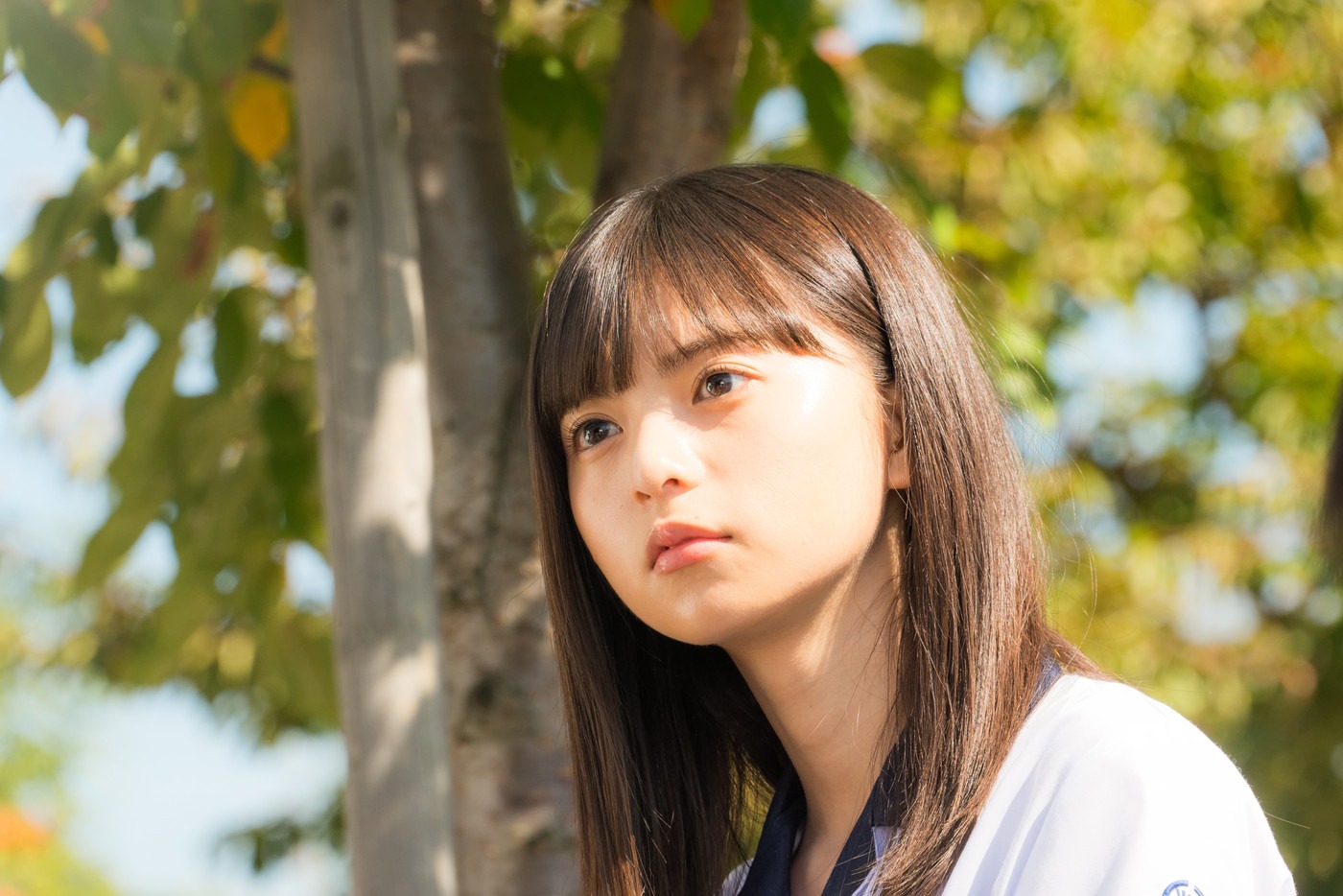 「あの頃、君を追いかけた」