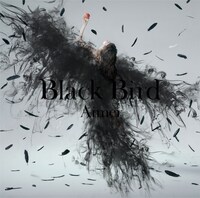 「Black Bird」通常盤のジャケット。