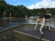 「テイク・エブリィ・ウェーブ」