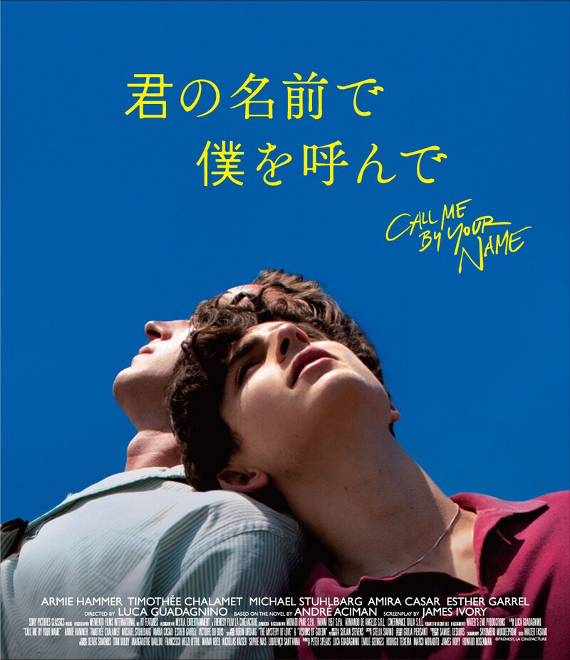 「君の名前で僕を呼んで」セル版Blu-rayのジャケット。