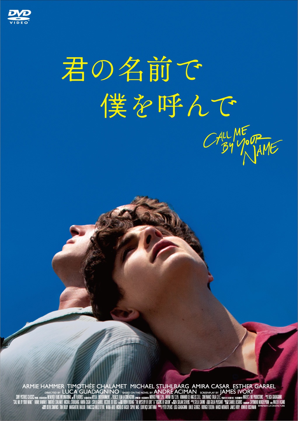 「君の名前で僕を呼んで」セル版DVDのジャケット。