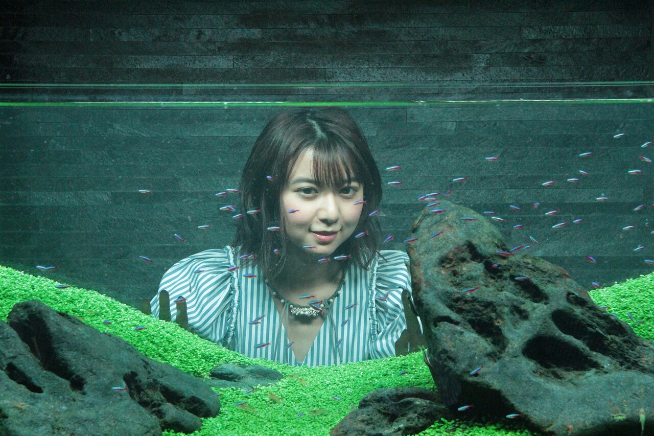 「未来のミライ」上白石萌歌がすみだ水族館へ、「映画の中と行き来している気持ち」