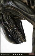 エイリアン ビッグチャップ 1/3スケール・スタチューの一部。