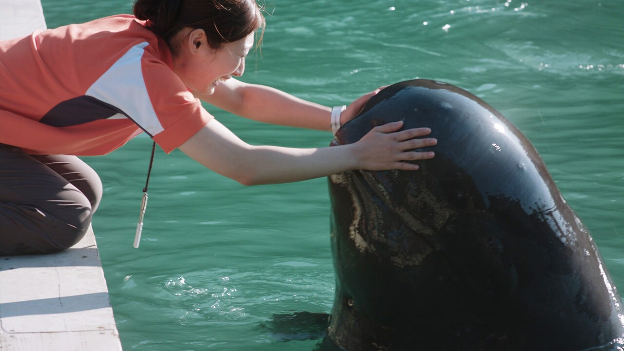 「ボクはボク、クジラはクジラで、泳いでいる。」