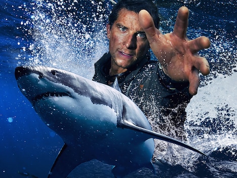 「サメvsベア・グリルス」 (c)Discovery Communications
