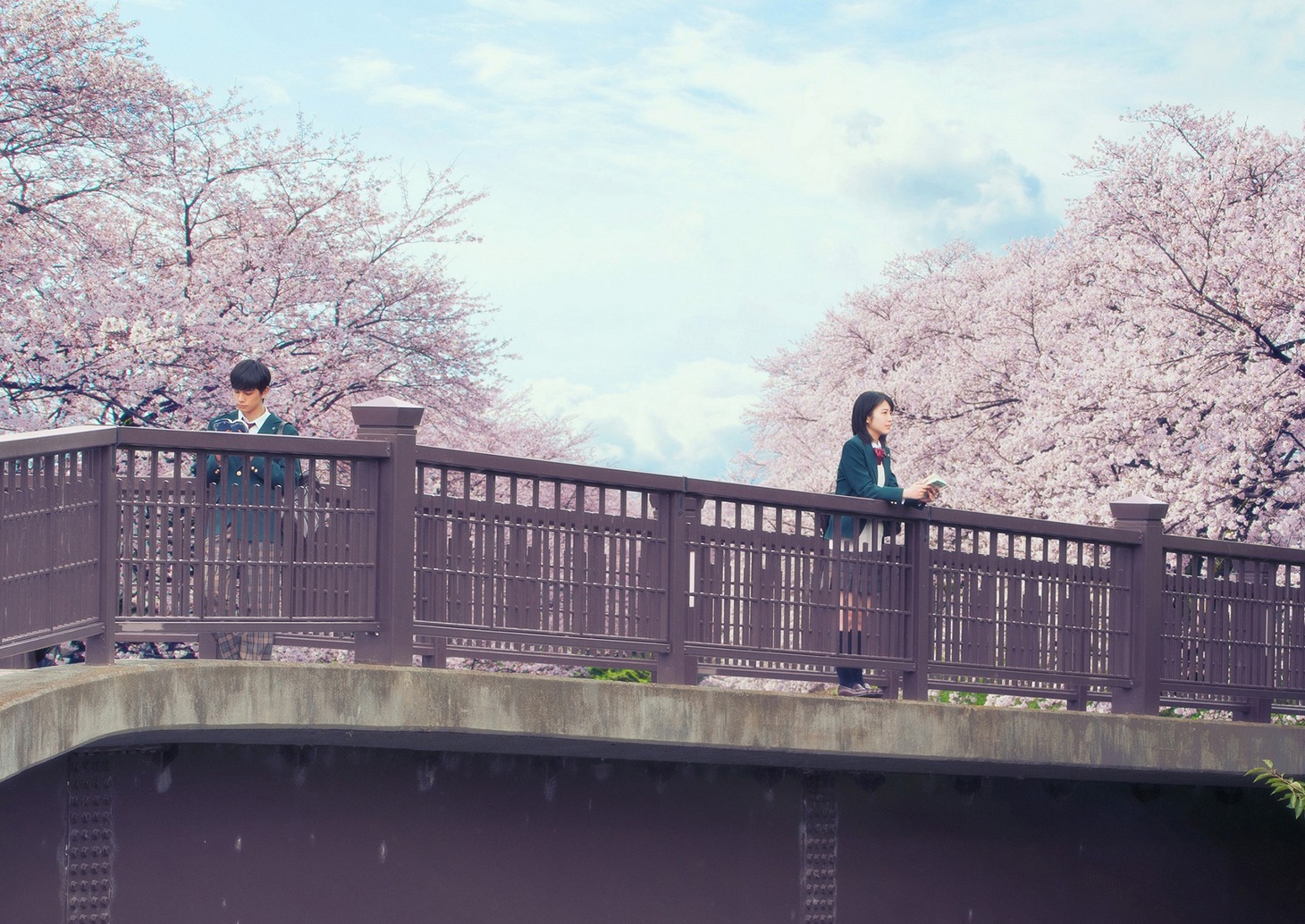 「君の膵臓をたべたい」