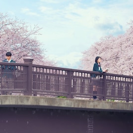 実写版「君の膵臓をたべたい」地上波で初放送、浜辺美波と北村匠海が共演