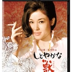 「しとやかな獣」など若尾文子主演作の4Kデジタル修復版発売、川島雄三生誕100年