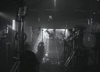 「ファー・イースト・ベイビーズ」