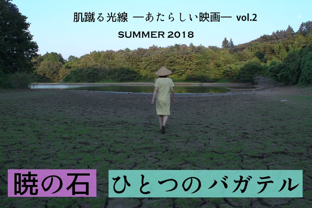 「肌蹴る光線―あたらしい映画―vol.2」ビジュアル