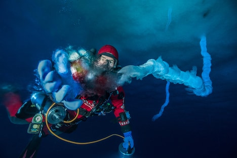 「皇帝ペンギン ただいま」新場面写真 (c)Laurent Ballesta