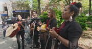 「ニューヨーク、ジャクソンハイツへようこそ」